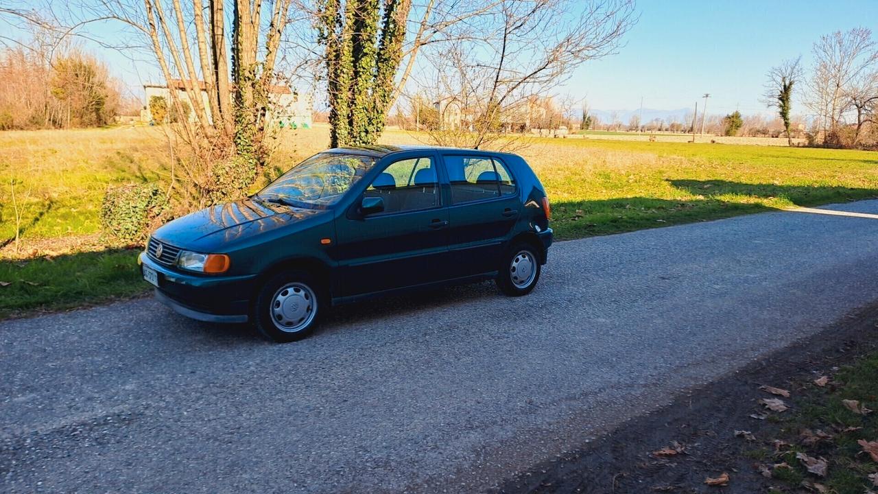 Volkswagen Polo 1.4 cat 5 porte Comfort