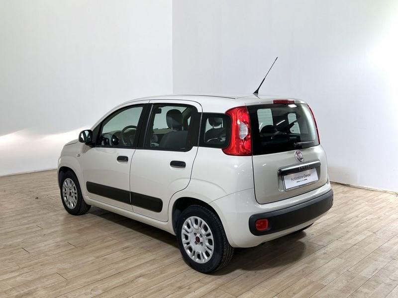 FIAT Panda Panda 1.2 Easy