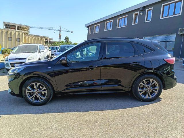 FORD Kuga 1.5 EcoBlue 120 CV 2WD ST-Line