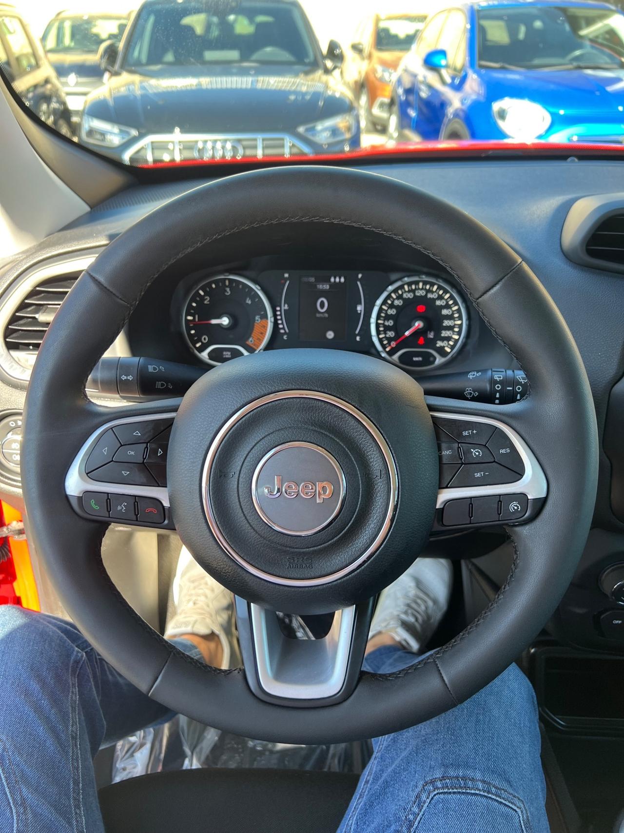 Jeep Renegade 1.6 Mjt 120 CV 2019 km 79.000