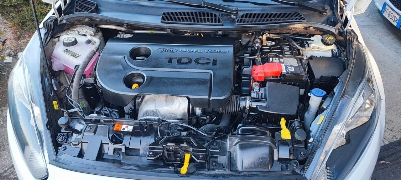 Ford Fiesta 1.5 TDCi 75CV 5 porte Titanium