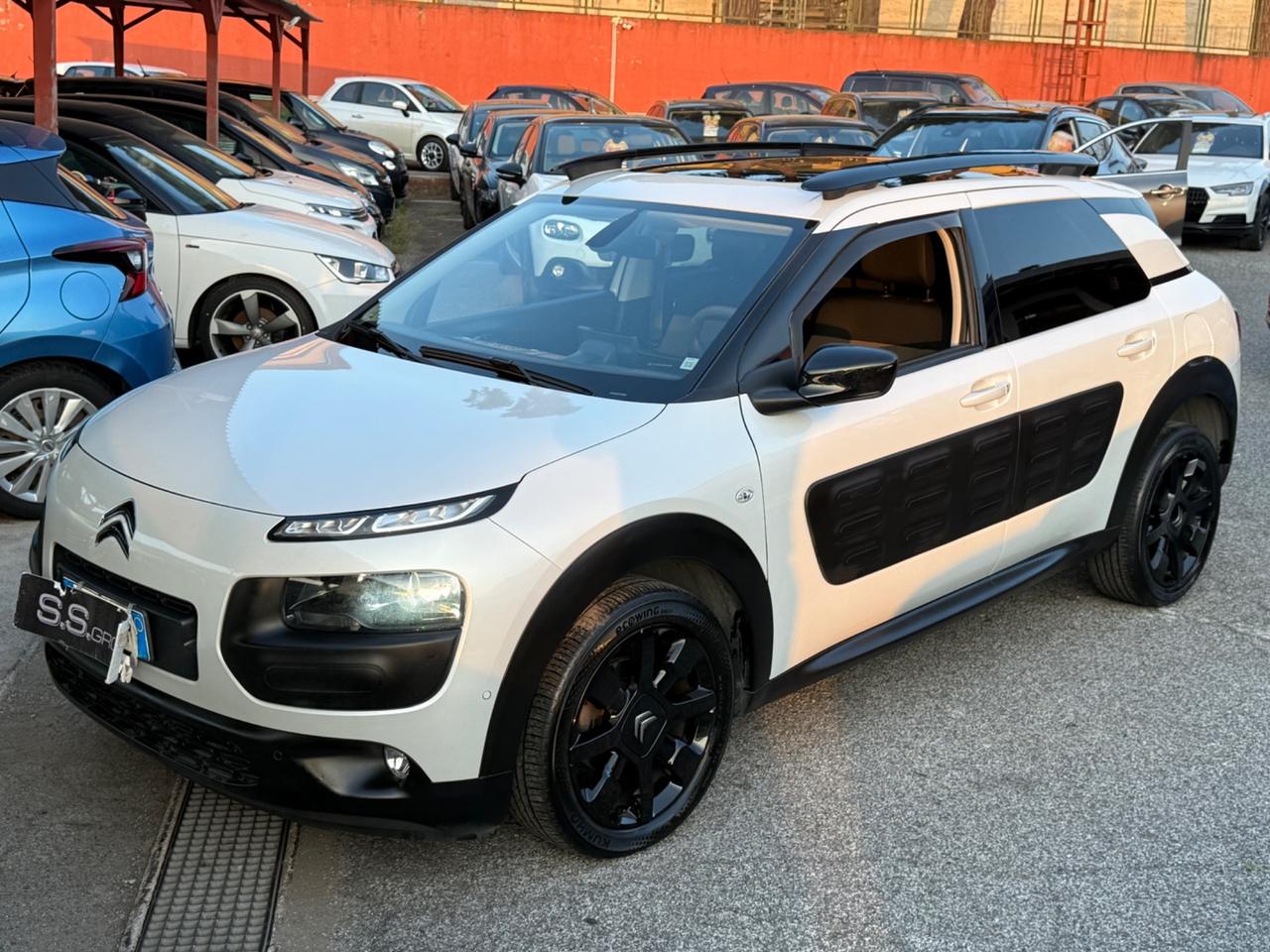 C4 Cactus hdi 100-ETG6 Shine-unipro-perfetta
