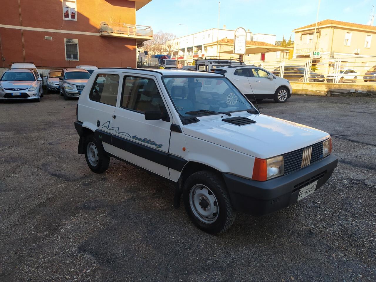 Fiat Panda 1000 4x4 Trekking Metano