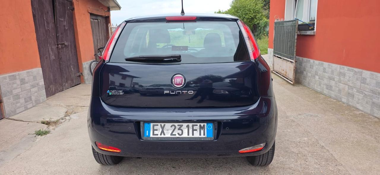 Fiat Punto 1.4 8V 5 porte Natural Power Lounge neop