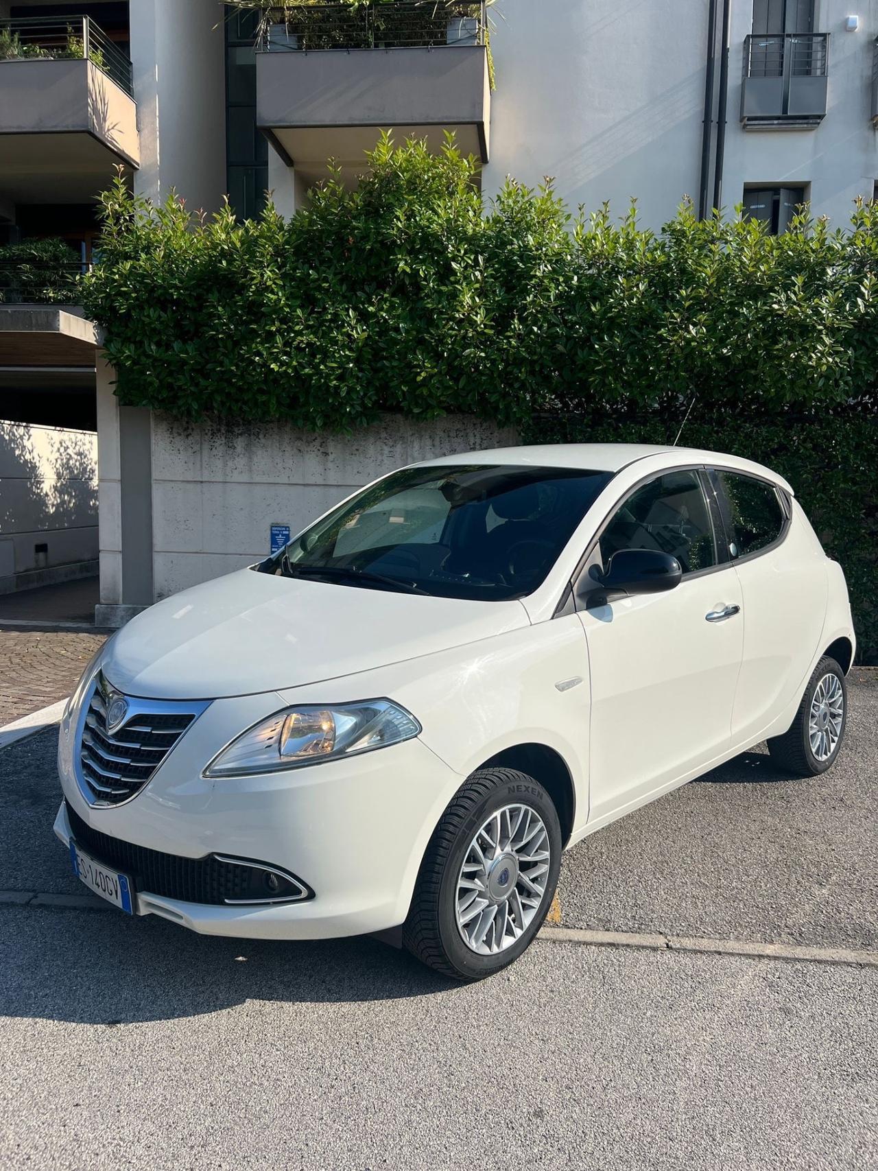 Lancia Ypsilon 0.9 TwinAir 85 CV 5 porte Metano Ecochic Elefantino