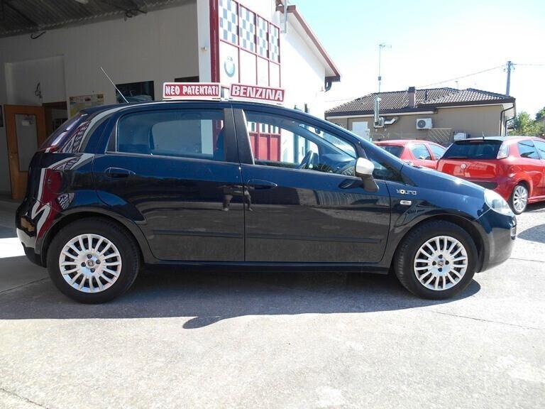 Fiat Punto 1.2 8V 5 porte Young NEOPATENTATI