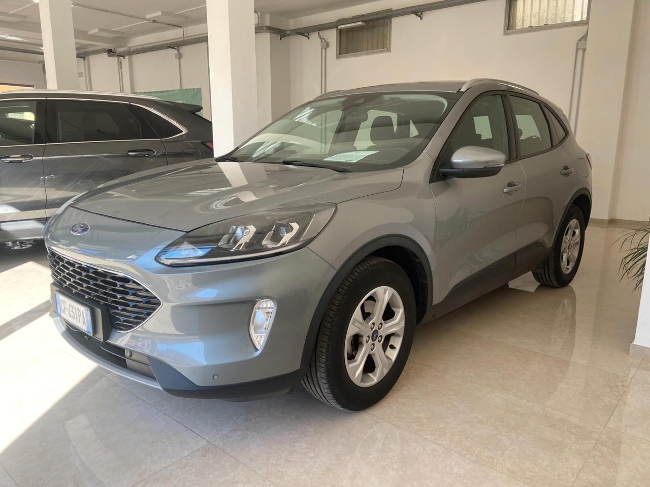 Ford Kuga 1.5 Ecoblue 120 cv