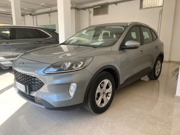 Ford Kuga 1.5 Ecoblue 120 cv