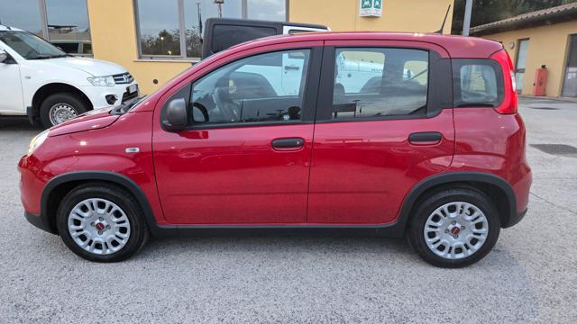 FIAT Panda 1.0 HYBRID S&S 70 CV SENSORI PARK RADIO TOUCH BT