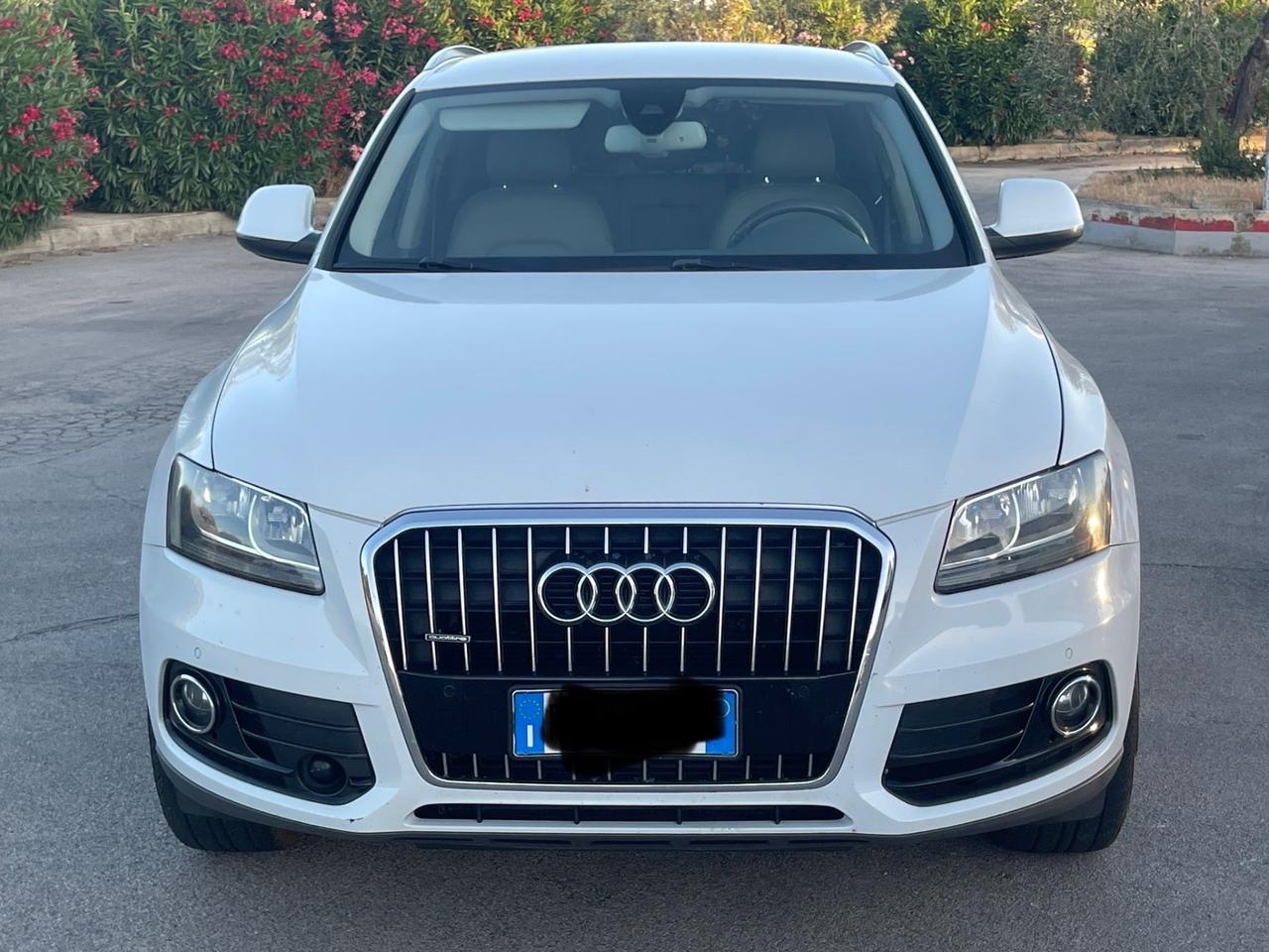 Audi Q5 2.0 TDI 177 CV quattro Advanced Plus