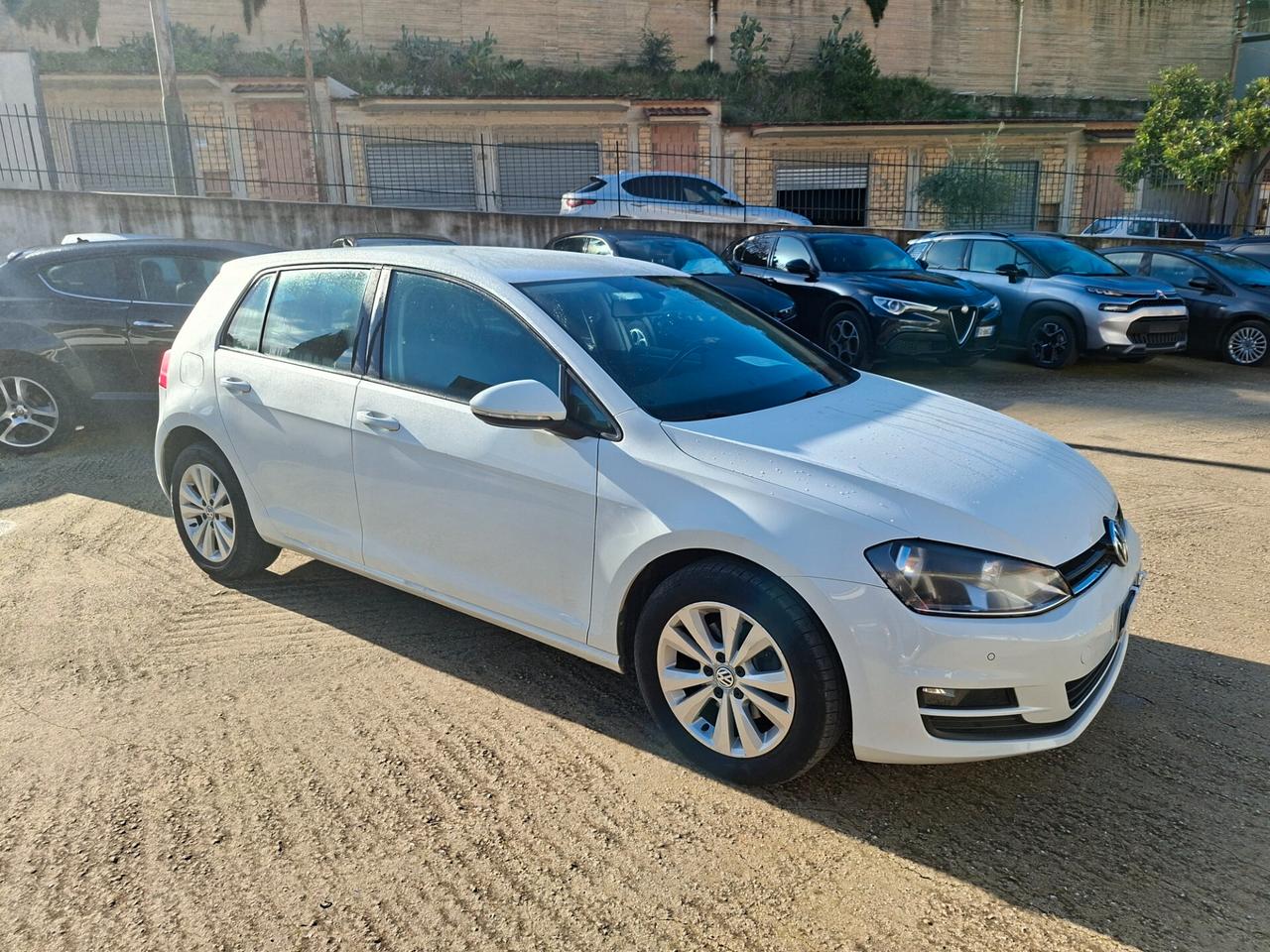 Volkswagen Golf 1.6 TDI 110 CV 5p. Business BlueMotion Technology