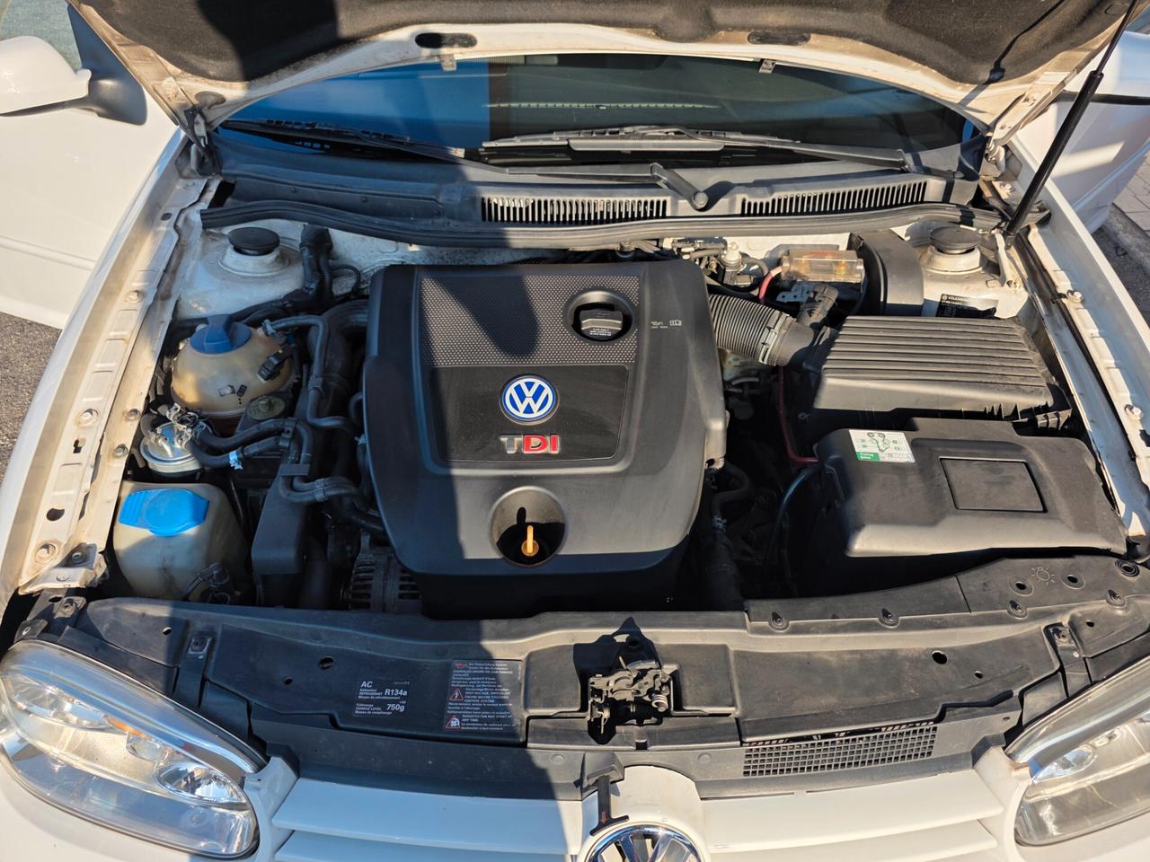 Volkswagen Golf 1.9 TDI/115 CV cat 3 porte Highline 401.000km