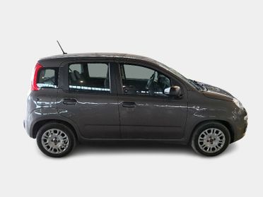 FIAT PANDA 1.0 70cv S/S Hybrid E6d-T Easy 5 PORTE