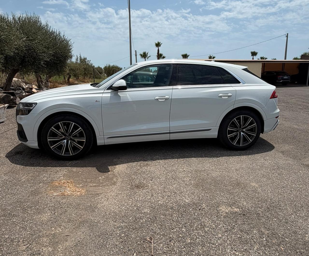 Audi Q8 50 TDI 286 CV quattro S-line