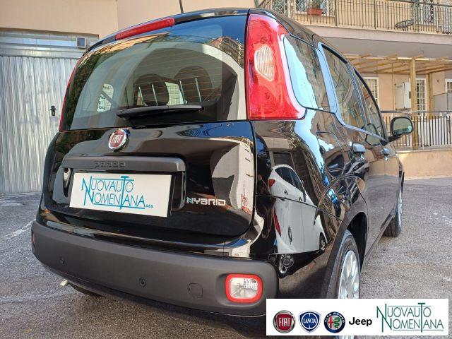 FIAT Panda Pandina 1.0 FireFly S&S Hybrid Icon 5°P Km0