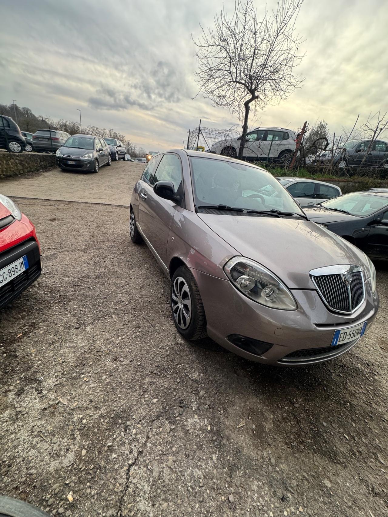 Lancia Ypsilon 1.2 69 CV Platino