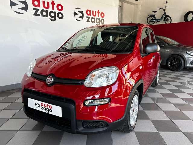 Fiat Panda 1.0 firefly Hybrid S&S 70 cv