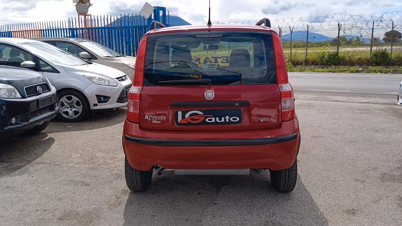 FIAT PANDA 1.2 BENZINA METANO NEO PATENTATI