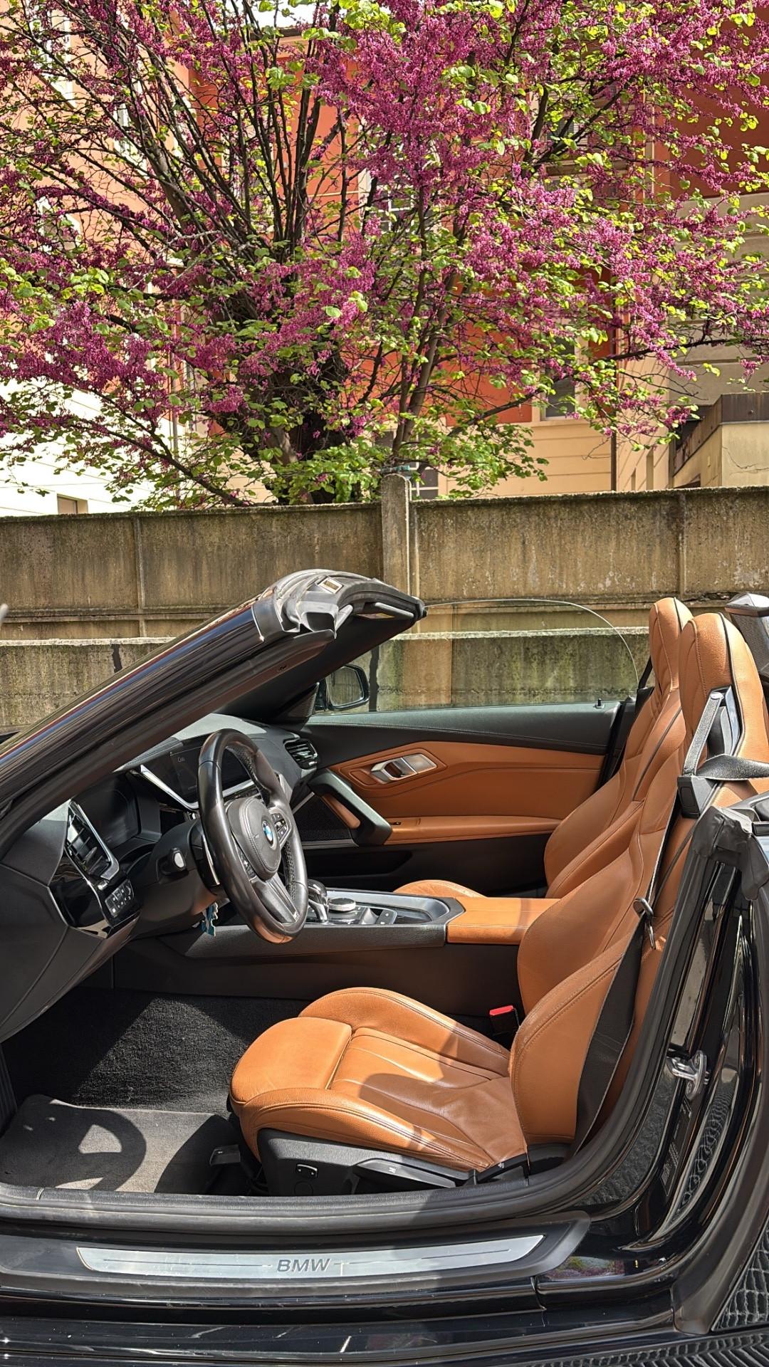 Bmw Z4 sDrive20i MSport