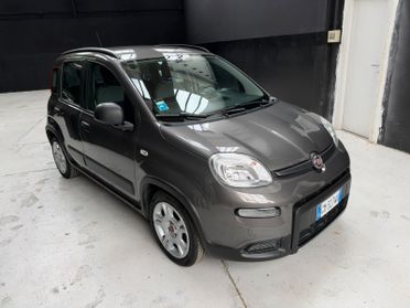 Fiat Panda 1.0 FireFly IVA ESPOSTA!