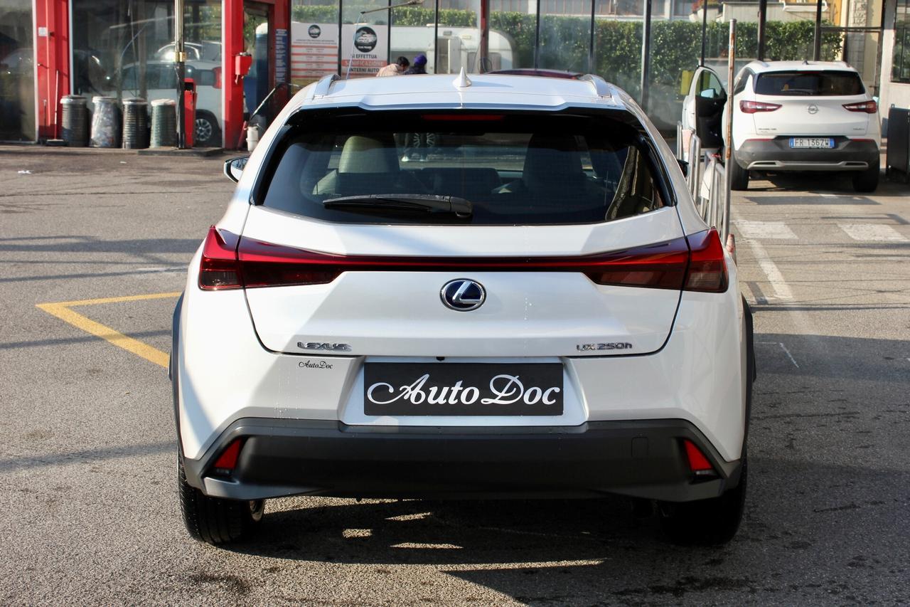 Lexus UX 250 H FULL HYBRID BUSINESS NAVY RETROCAMERA
