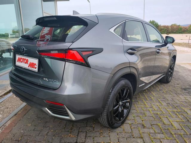 Lexus NX 300 NX 300h 2.5 Business 4wd cvt 24 mesi Garanzia