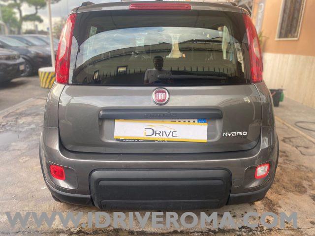 FIAT Panda 1.0 FireFly Hybrid City-Life + gpl