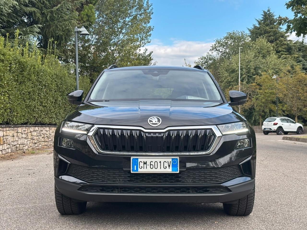 Skoda Karoq 2.0 TDI EVO SCR 4x4 DSG Executive