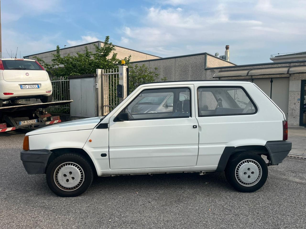 Fiat Panda 1100 i.e. cat Young