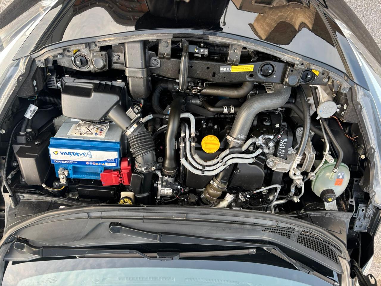 Nissan Micra 1.5 dCi 8V 5 porte Tekna