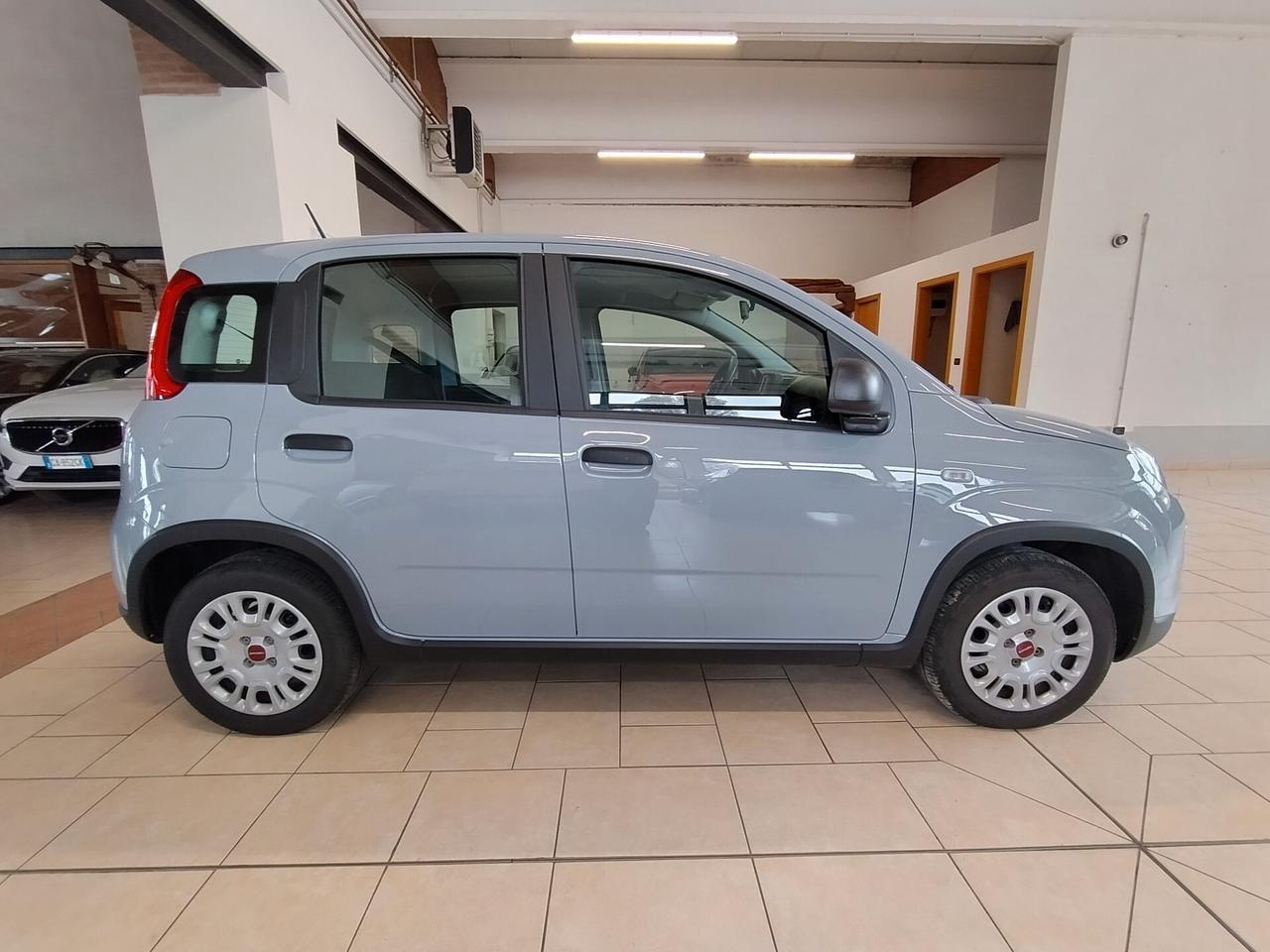 FIAT Panda 1.2 EasyPower- 2023