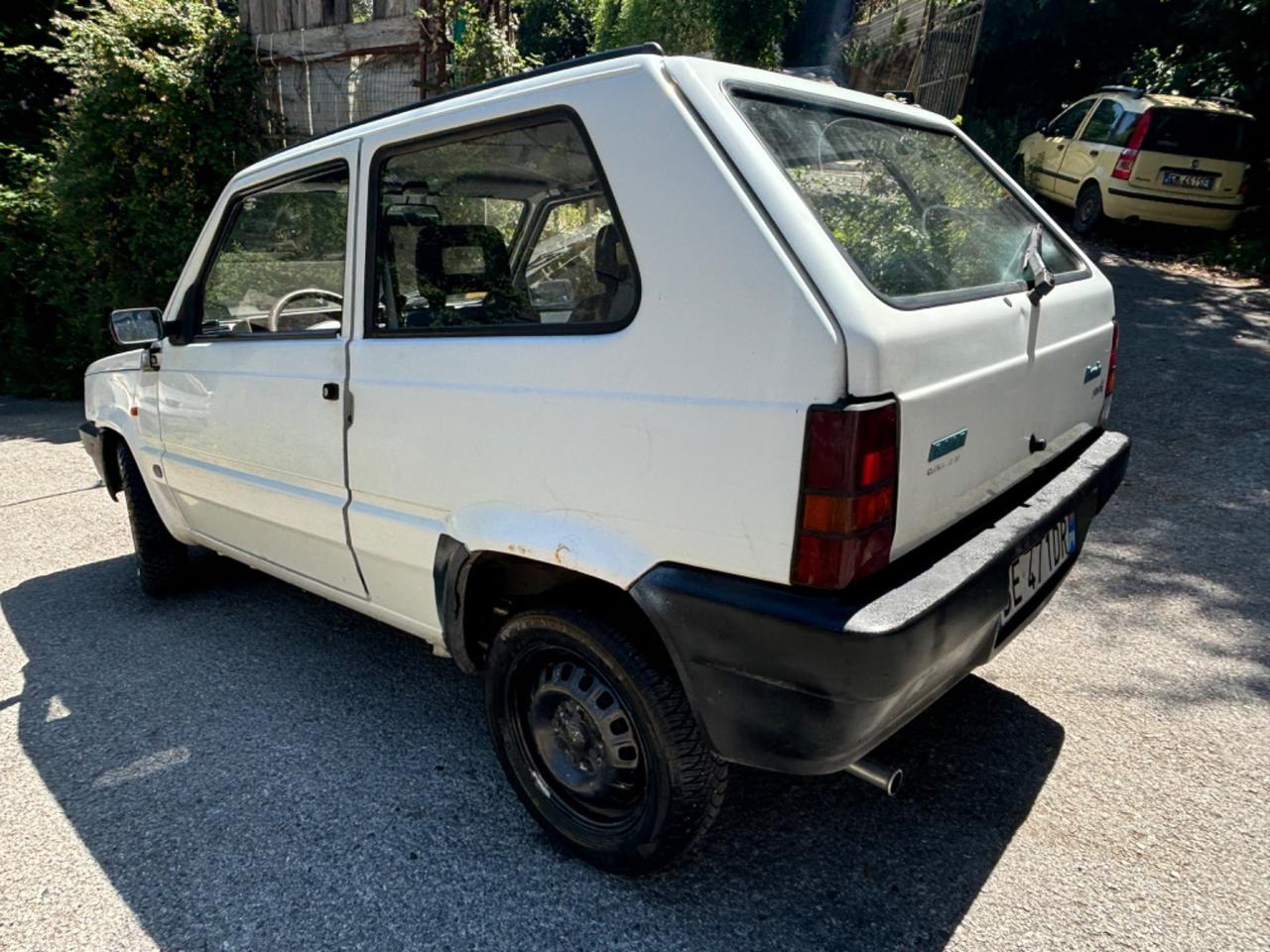 Fiat Panda 900 i.e. cat Young