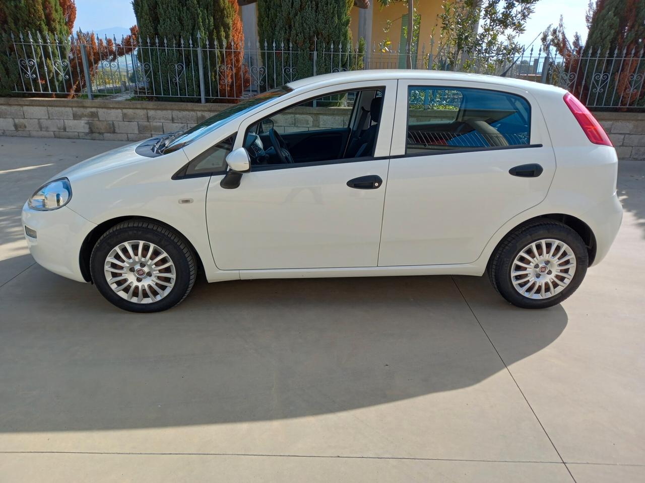 Fiat Punto 1.3 MJT II 95 CV 5 porte Street 2017