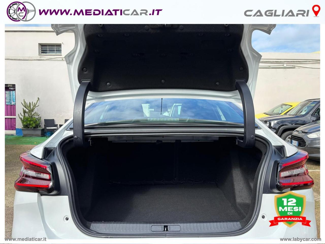 CITROEN C4 X BlueHDI 130 S&S EAT8 Max