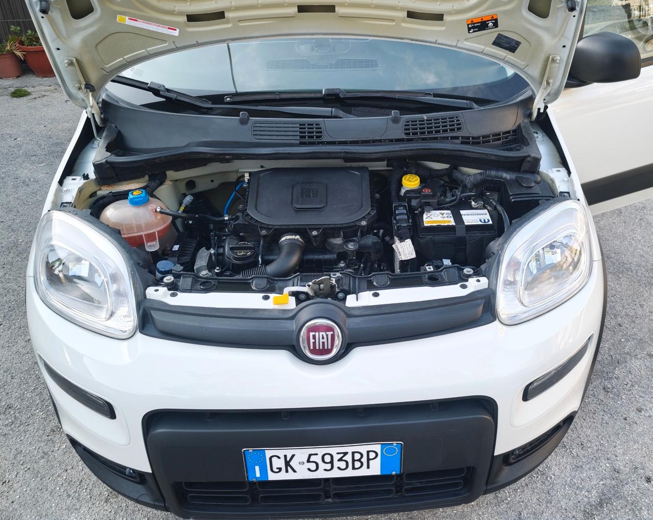 Fiat Panda 1.0 FireFly S&S Hybrid City Cross