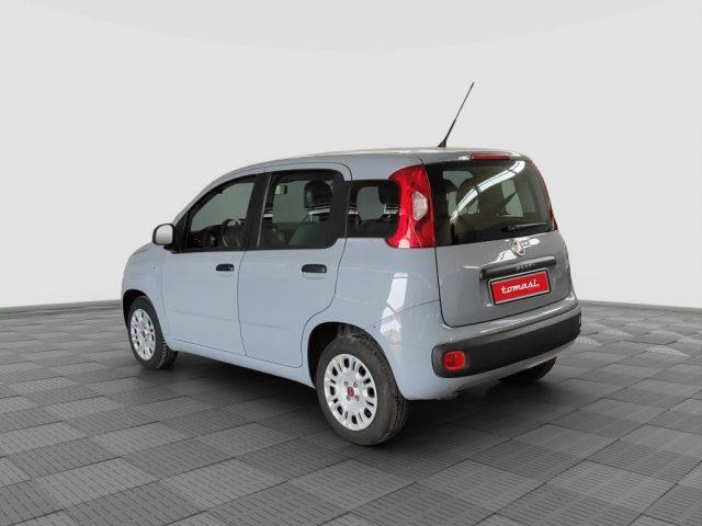 FIAT Panda Panda 1.2 Easy