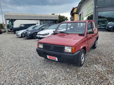 Fiat Panda 1100 i.e. cat Young ASI
