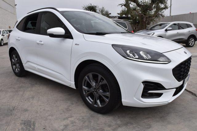 FORD Kuga 1.5 EcoBlue 120 CV aut. 2WD ST-Line