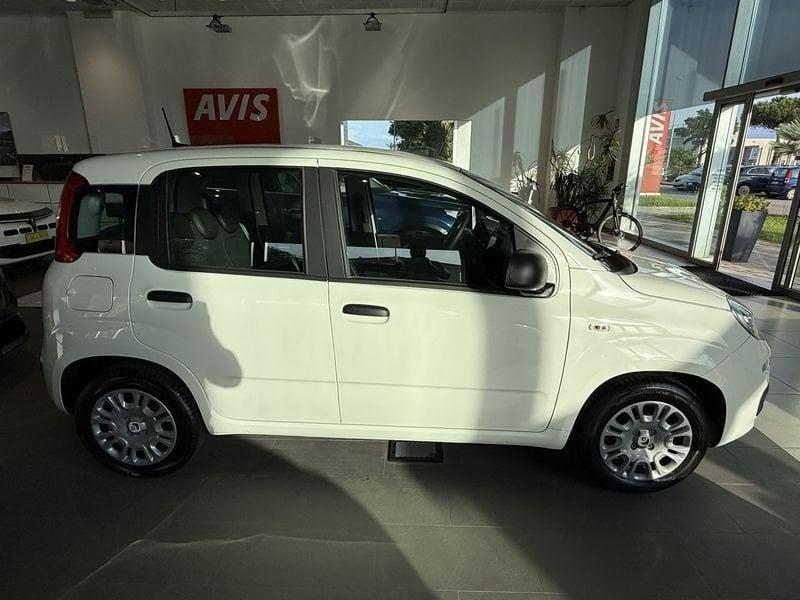 FIAT Panda 1.0 FireFly S&S Hybrid Pandina