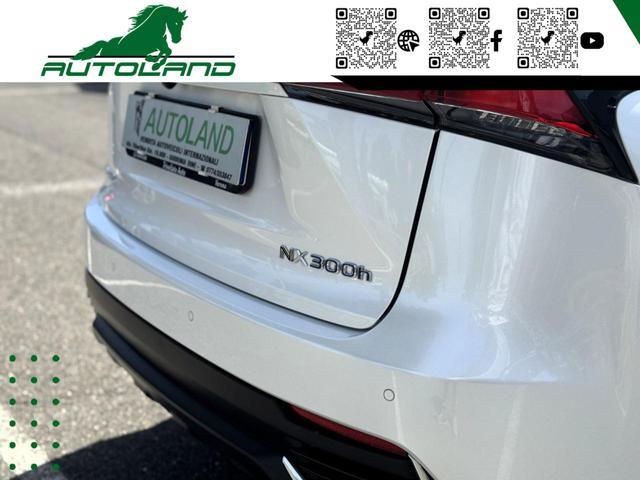 LEXUS NX 300 Hybrid 4WD Executive 155 CV
