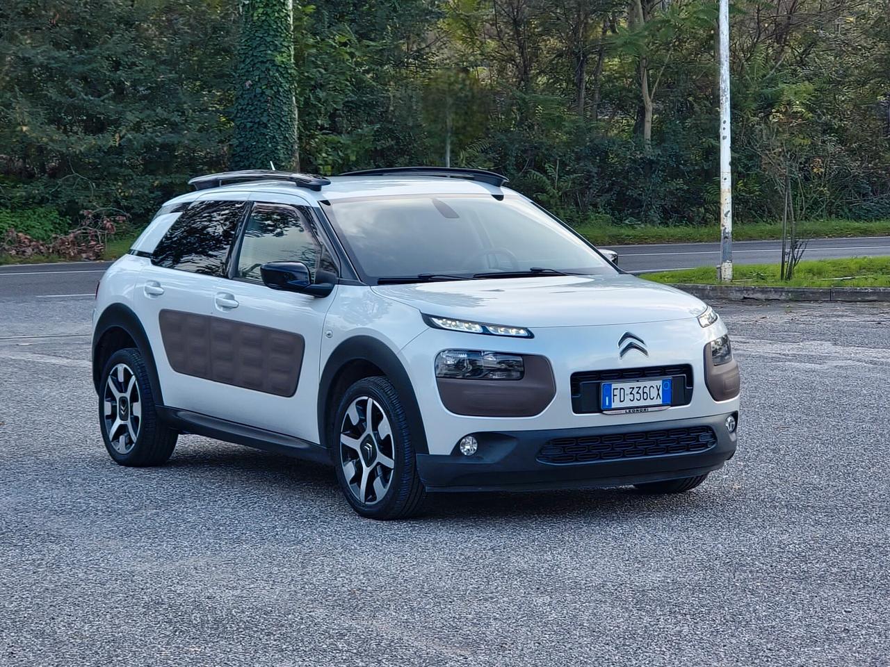 Citroen C4 Cactus BlueHDi 100 S&S Shine 2016-E6B Manuale