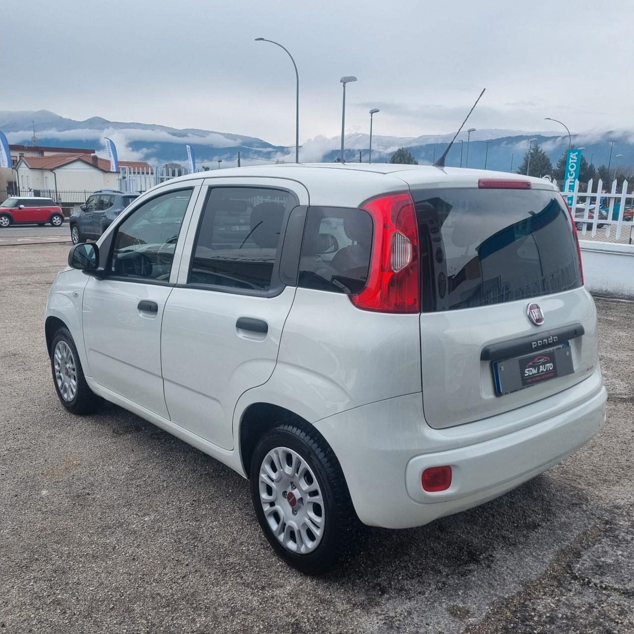FIAT PANDA 1.2 BENZINA -- 1.3 MULTIJET VARI COLORI