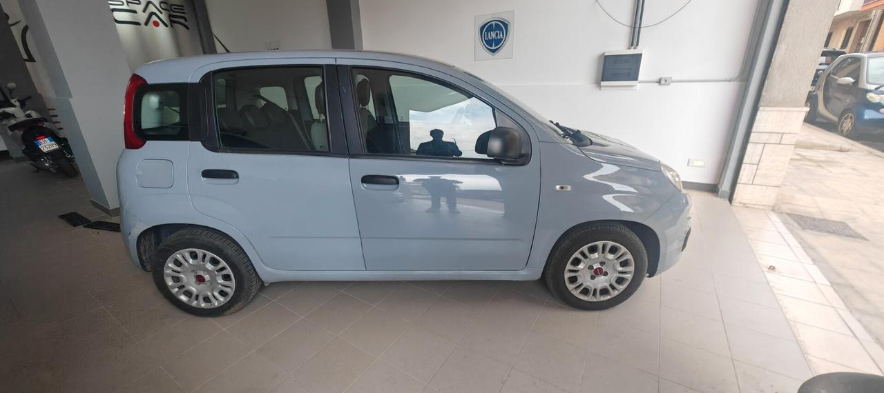 Fiat Panda Fiat Panda 1.0 benzina