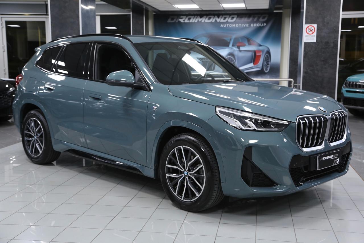 BMW X1 xDrive20d mhev Msport auto