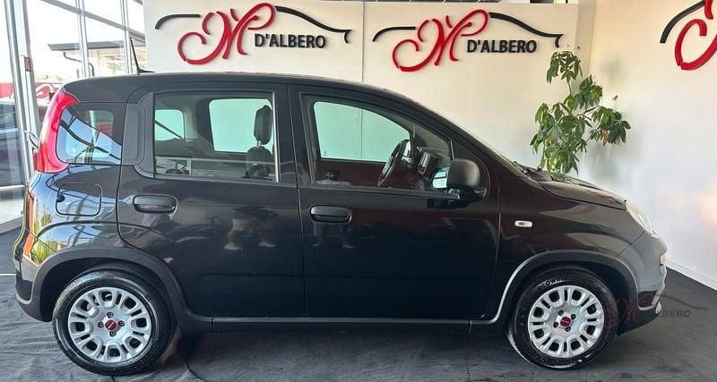 FIAT Panda 1.0 FireFly 70cv S&S Hybrid