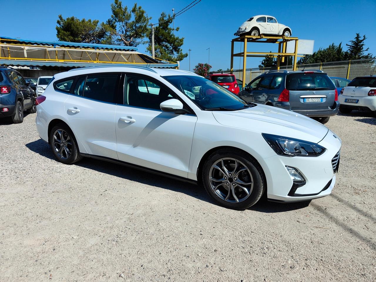 Ford Focus 1.5 EcoBlue 120 CV automatico SW Business Co-Pilot. IVA INCLUSA NEL PREZZO