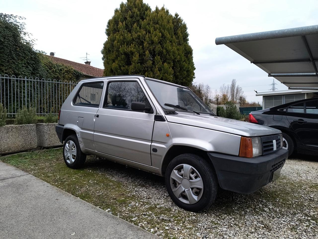 Fiat Panda 1100 i.e. cat Young