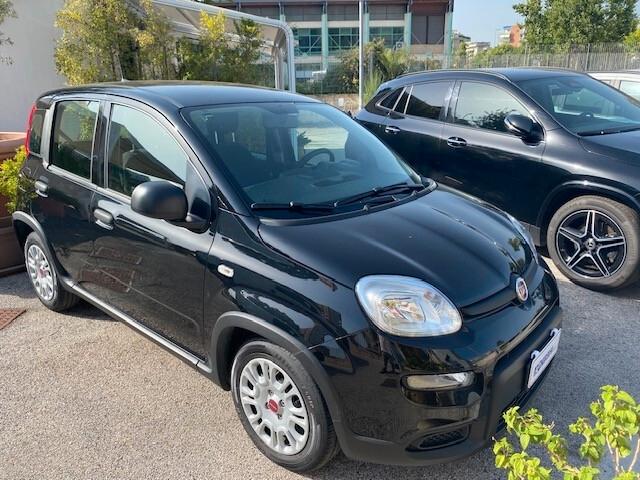Fiat Panda 1.0 FireFly S&S Hybrid City Life Km 19000 iva deducibile