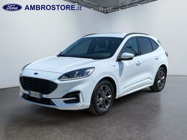 FORD Kuga III 2020 - Kuga 1.5 ecoblue ST-Line 2wd 120cv