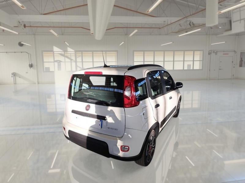 FIAT PANDA 1.0 FIREFLY 70 CV SES HYBRID CITY LIFE 5 PORTE BERLINA